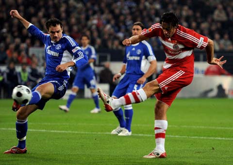 顾了雄鹿栖 顾了雄鹿栖